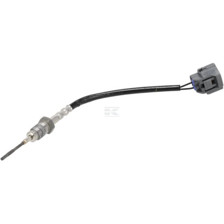 Capteur WEIDEMANN 1000308381