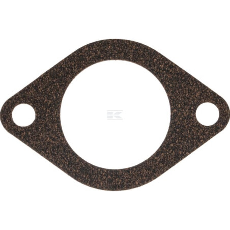 Thermostat WEIDEMANN 1000200054