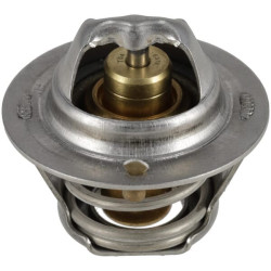 Thermostat WEIDEMANN 1000199605