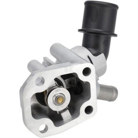 Thermostat WEIDEMANN 1000310883