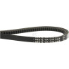 Courroie WEIDEMANN 1000294955