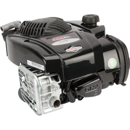 Moteur BRIGGS & STRATTON 093J020071H5