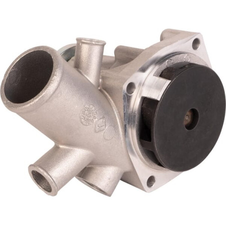 Pompe à eau GOLDONI 0V15202027