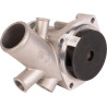 Pompe à eau GOLDONI 0V15202027