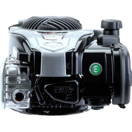 Moteur BRIGGS & STRATTON 09P9020003H5