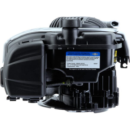 Moteur BRIGGS & STRATTON 09P9020003H5