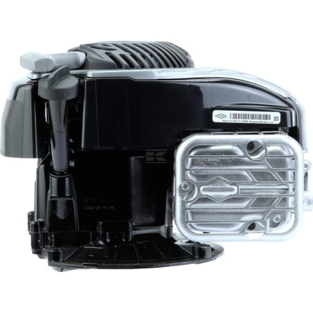 Moteur BRIGGS & STRATTON 09P9020003H5