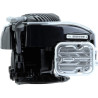 Moteur BRIGGS & STRATTON 09P9020003H5