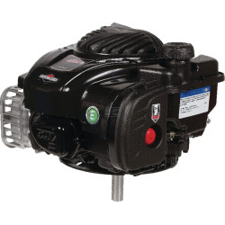 Moteur BRIGGS & STRATTON 09P8020004H5