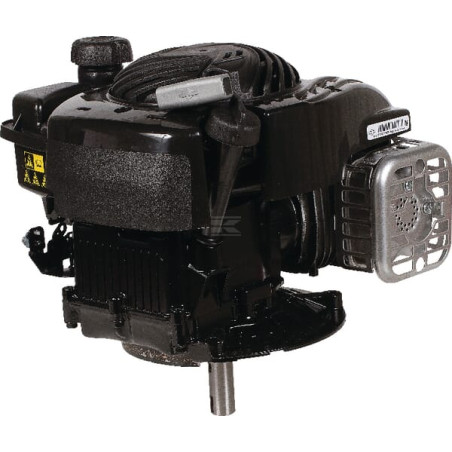 Moteur BRIGGS & STRATTON 09P8020004H5