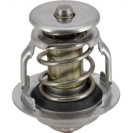 Thermostat WEIDEMANN 1000115256