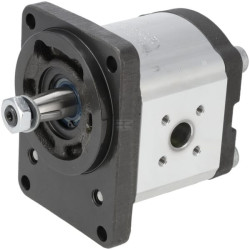 Pompe à engrenages BOSCH REXROTH 0510525018