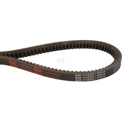 Courroie de traction MASCHIO 06010025
