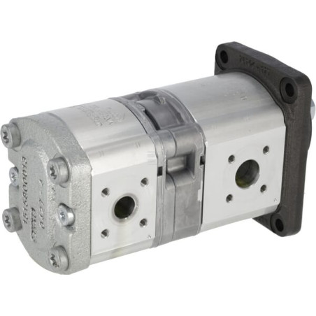 Pompe à engrenages BOSCH REXROTH 0510665020