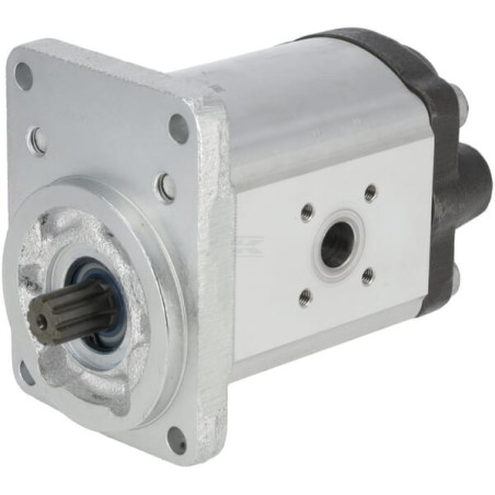 Pompe à engrenages BOSCH REXROTH 0510725386