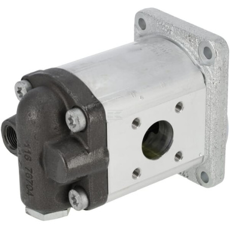 Pompe à engrenages BOSCH REXROTH 0510725386
