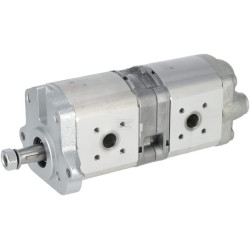 Pompe à engrenages BOSCH REXROTH 0510665512