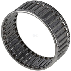 Cage à aiguilles ZF 0750115080