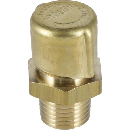 Reniflard ZF 0732612001
