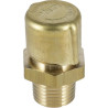Reniflard ZF 0732612001