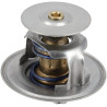 Thermostat WEIDEMANN 1000364234