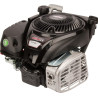 Moteur BRIGGS & STRATTON 1008020116H5