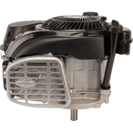 Moteur BRIGGS & STRATTON 1008020116H5