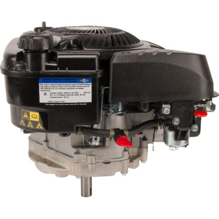 Moteur BRIGGS & STRATTON 1008020116H5