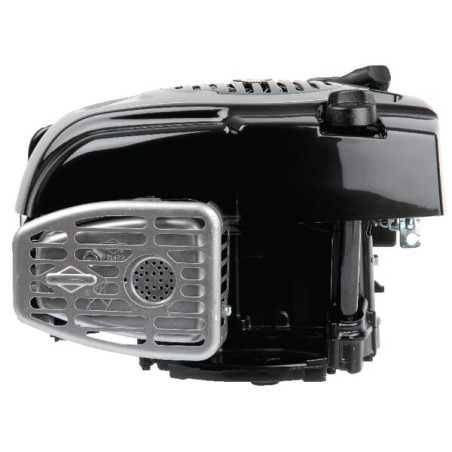 Moteur BRIGGS & STRATTON 1006020151H5