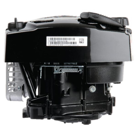 Moteur BRIGGS & STRATTON 1006020151H5