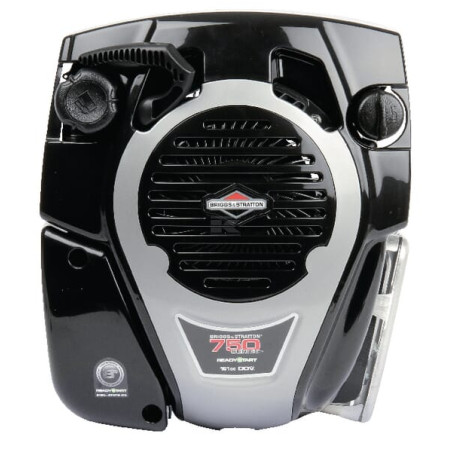 Moteur BRIGGS & STRATTON 1006020151H5