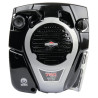 Moteur BRIGGS & STRATTON 1006020151H5