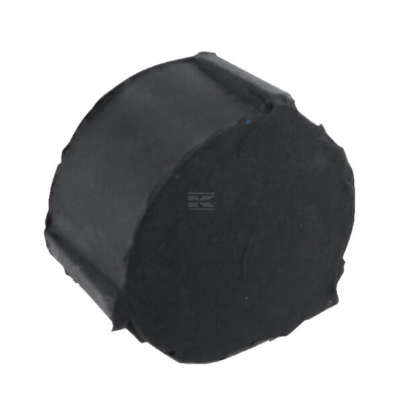 Disque BPW 1030978534
