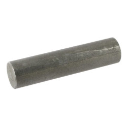 Pivot BPW 1030650004