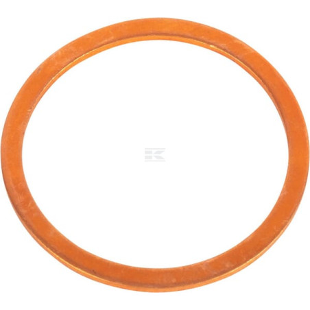 Rondelle CNH 10265060