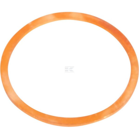 Rondelle CNH 10265160