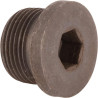 Bouchon CNH 10275011