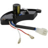 Bloc BRIGGS & STRATTON 103847GS