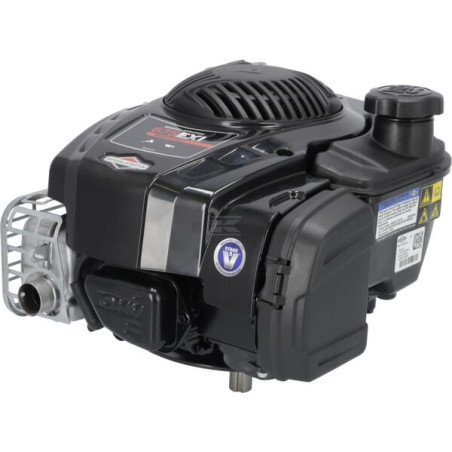 Moteur BRIGGS & STRATTON 104M020135H5