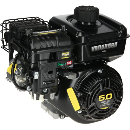 Moteur BRIGGS & STRATTON 10V3320007F1