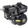 Moteur BRIGGS & STRATTON 10V3320001F1