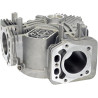 Corps de vilebrequin LONCIN 1108103010001