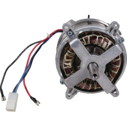 Moteur électrique MTD 1116000VR