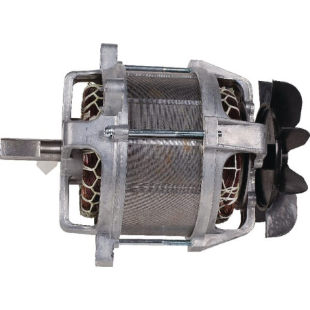Moteur électrique MTD 1116000VR