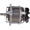 Moteur électrique MTD 1116000VR