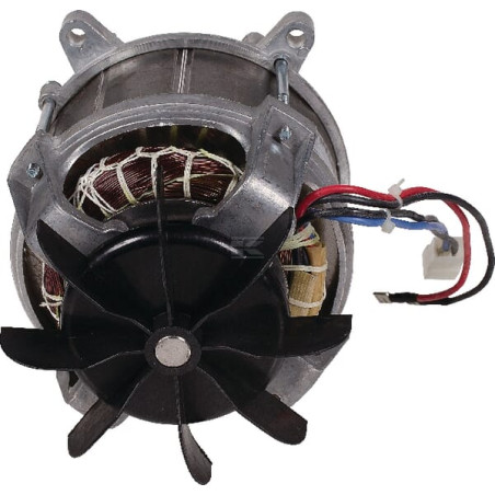 Moteur électrique MTD 1116000VR