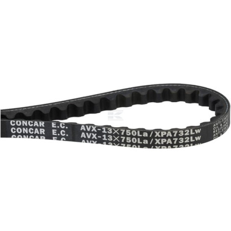 Courroie AGRIA 106388