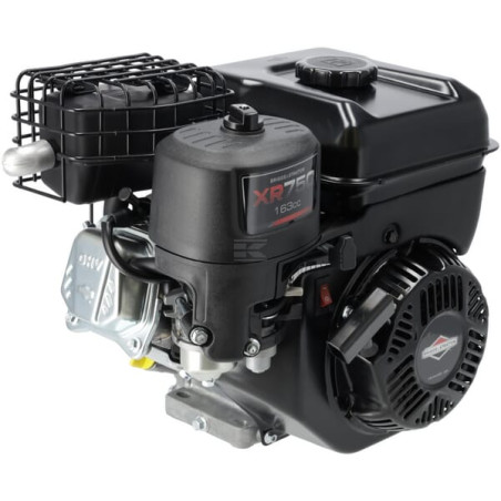 Moteur BRIGGS & STRATTON 1062320037H5