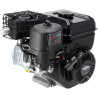 Moteur BRIGGS & STRATTON 1062320037H5