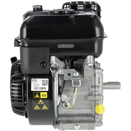 Moteur BRIGGS & STRATTON 1062320037H5